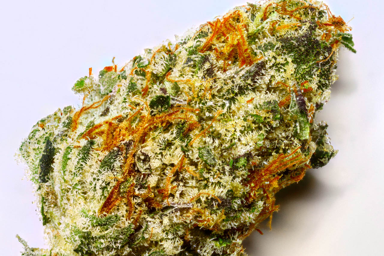 Peanut Butter Cookies: strain page photo, credit seedfinder.eu, copyright status shown with credit copyright unverified
