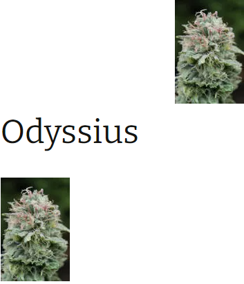 Odyssius