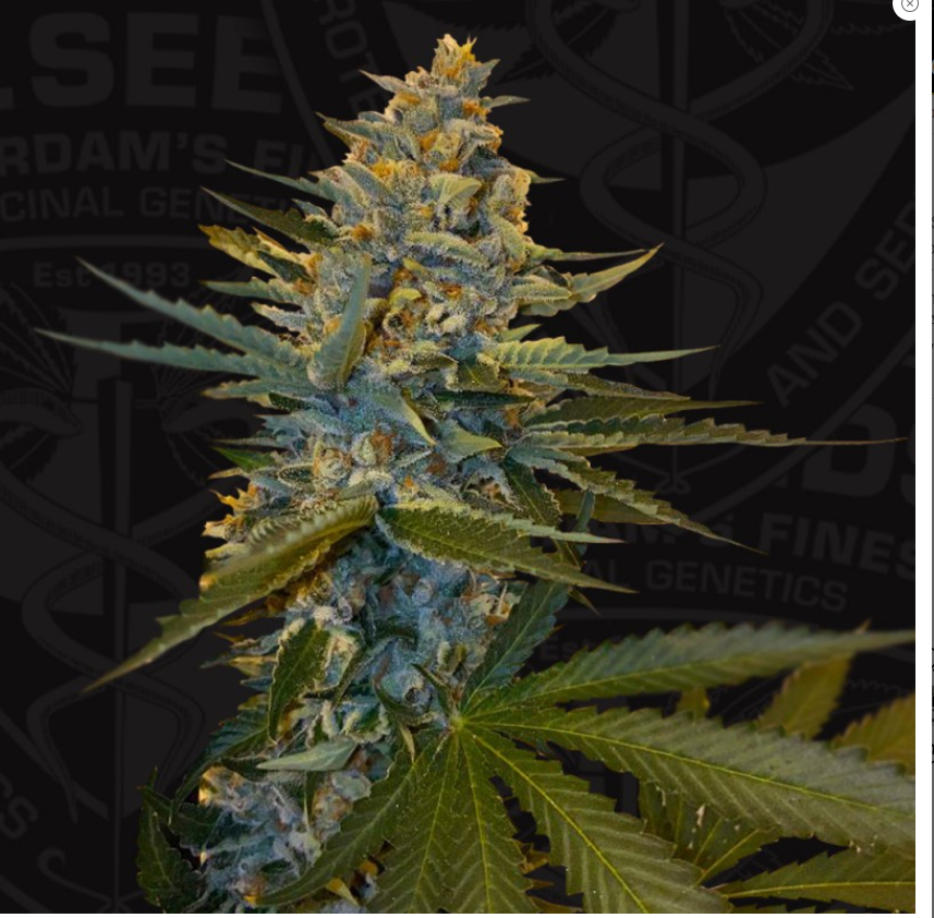 Banana Candy Krush archive 0