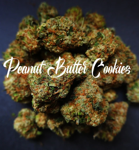 Peanut Butter Cookies: strain page photo, credit seedfinder.eu, copyright status shown with credit copyright unverified