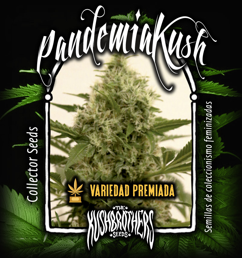 Pandemic Kush