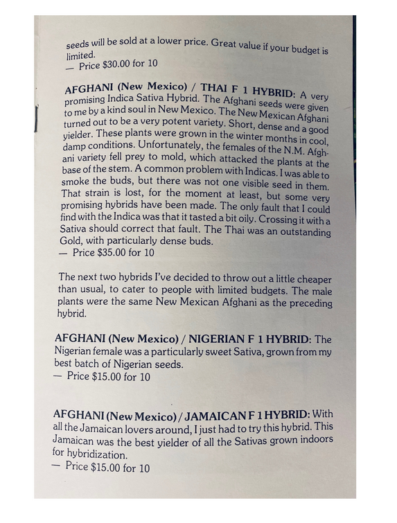 Afghani (New Mexico) / Nigerian F1 Hybrid