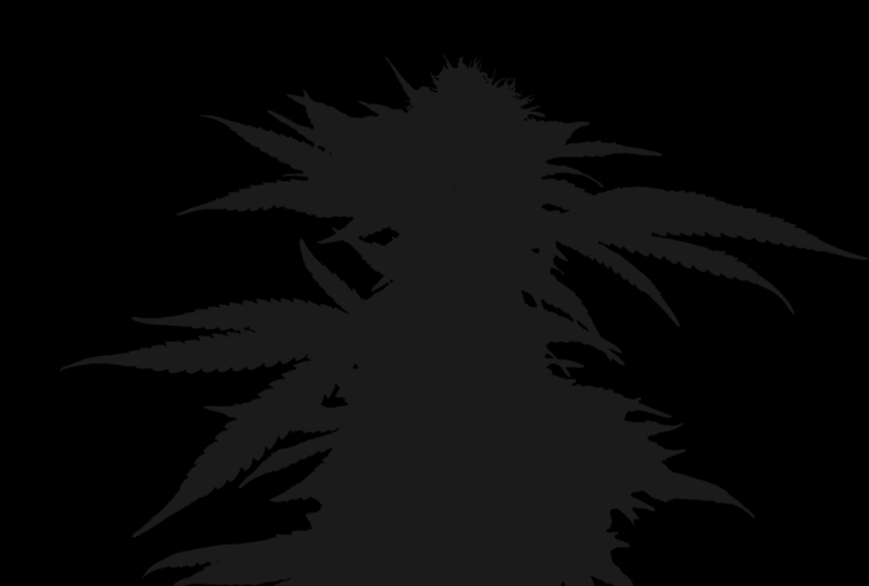 Electric Banana on Fire archive 0