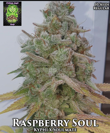 Raspberry Soul archive 0