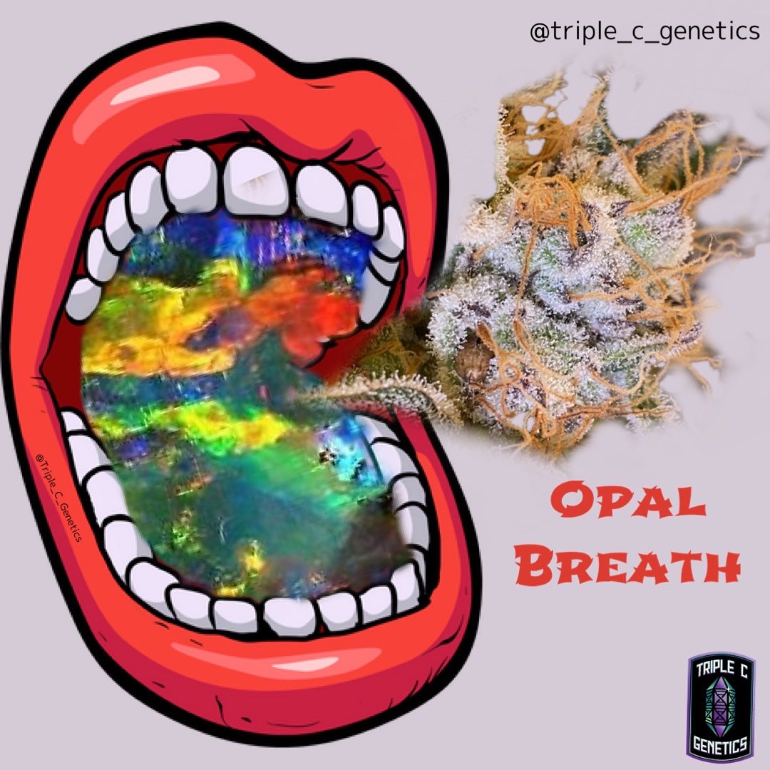 Opal Breath