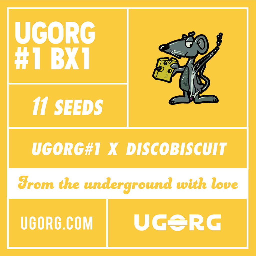 Ugorg#1 BX1