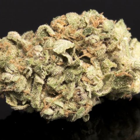Fire 18 flower, as labeled by the cited photo source