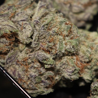 Razzleberry Kush