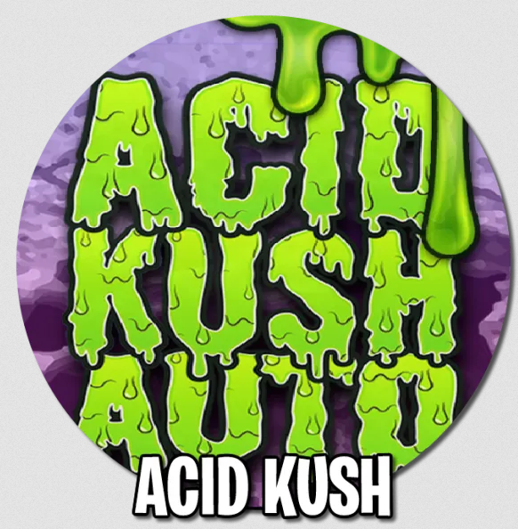 Acid Kush Auto