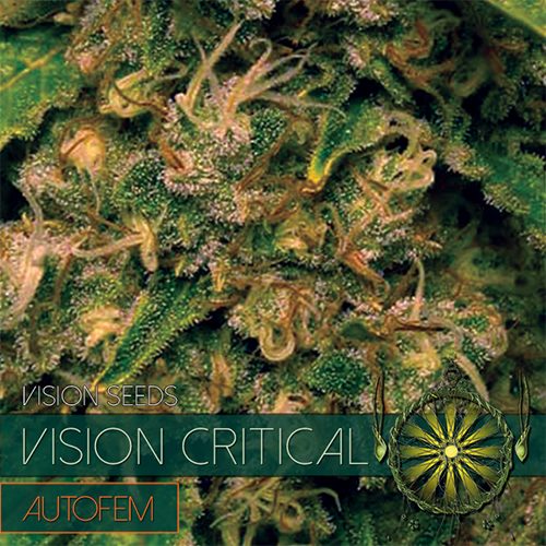 Vision Critical