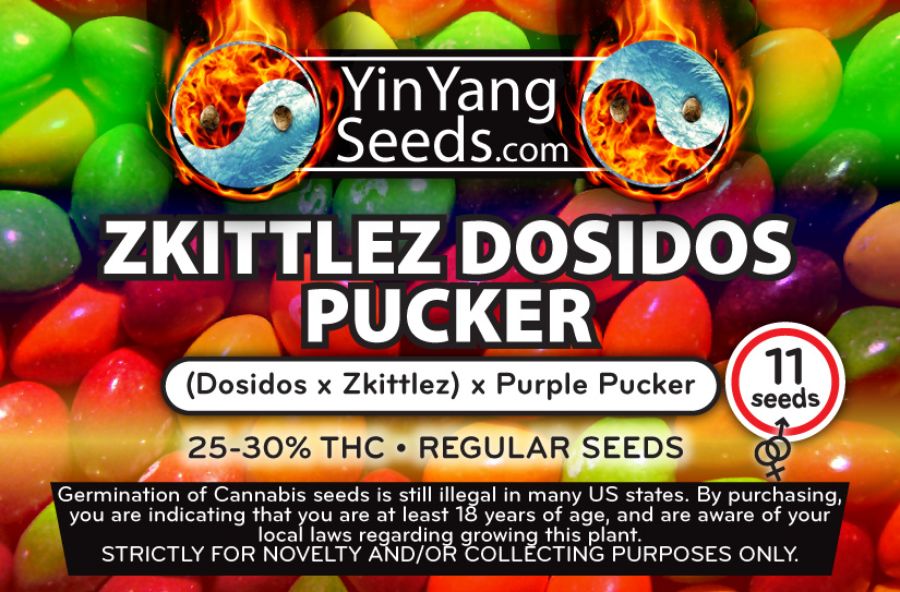 Zkittlez Dosi Pucker archive 0