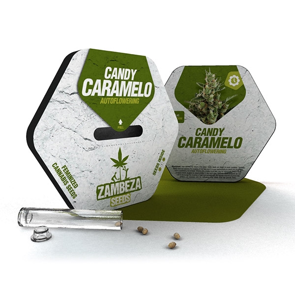 Candy Caramelo Automatic archive 0