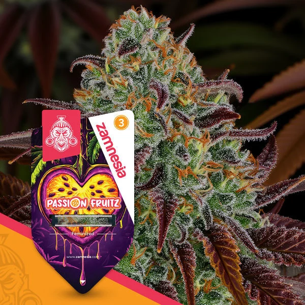 Passion Fruitz archive 0