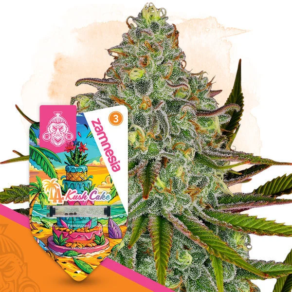 LA Kush Cake: strain page photo, credit seedfinder.eu, copyright status shown with credit copyright unverified