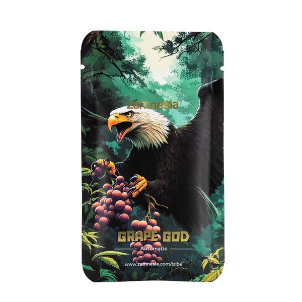 Grape God Auto (Zamnesia) :: Cannabis Strain Info :: SeedFinder.eu