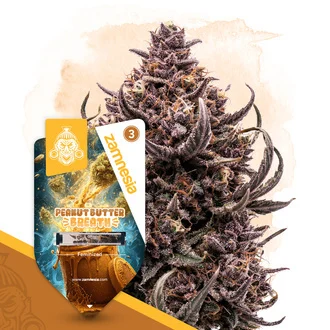 Peanut Butter Breath: strain page photo, credit seedfinder.eu, copyright status shown with credit copyright unverified