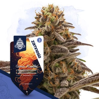 Cosmic Noodles Automatic (Zamnesia) :: Cannabis Strain Info