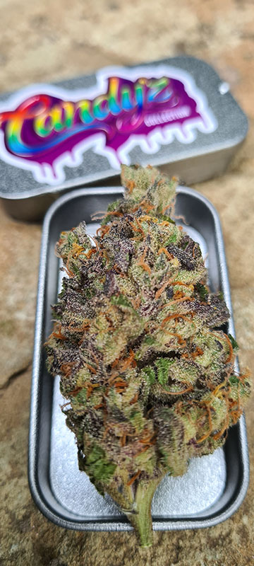 Candy Lime (Zmoothiez) :: Cannabis Strain Info :: SeedFinder.eu
