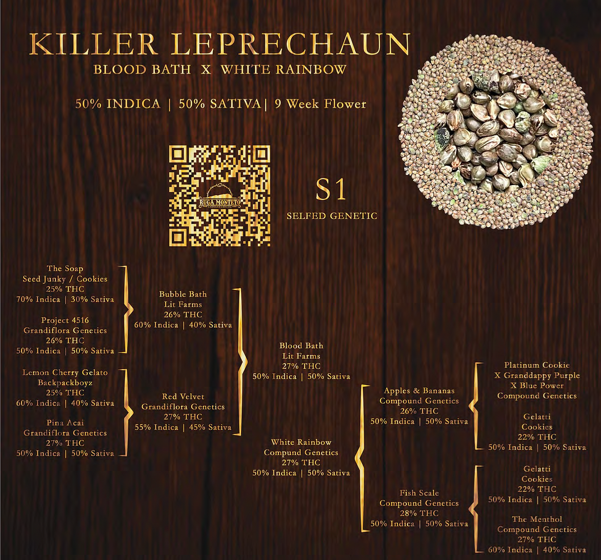 Killer Leprechaun archive 0