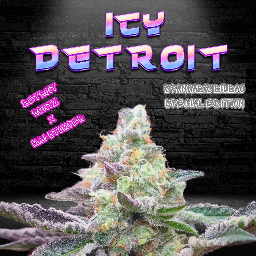 Icy Detroit