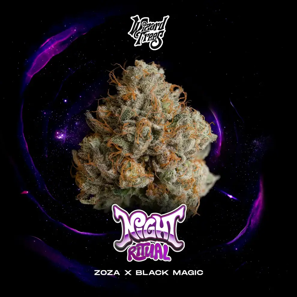 Night Ritual (Wizard Trees) :: Cannabis Strain Info :: SeedFinder.eu