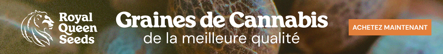 rqs_best_quality_fr