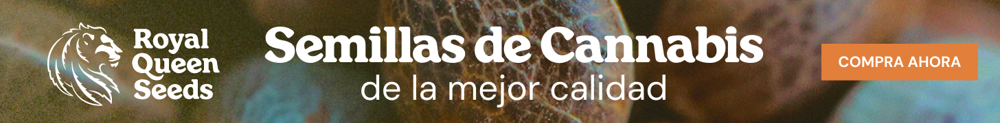 rqs_best_quality_es