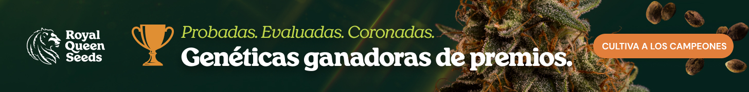  RQS-cupwinners_es