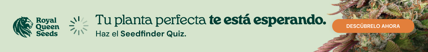 RQS-quiz_es 