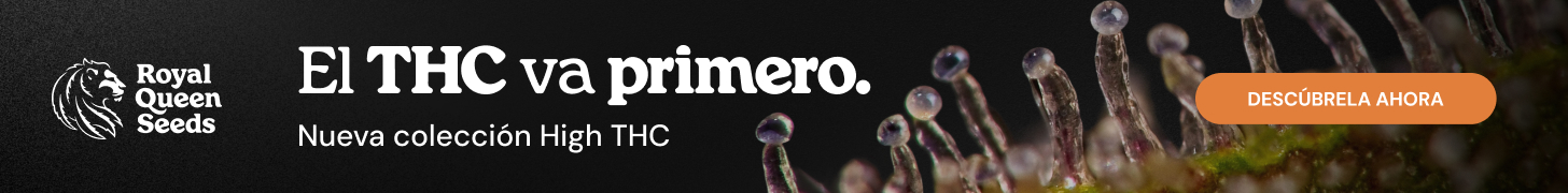 Forbidden Boogie (de Moscaseeds) :: Info de Variedad :: SeedFinder.eu