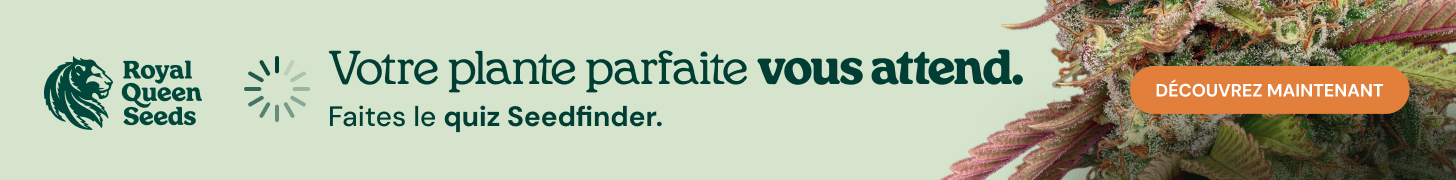  RQS-quiz_fr