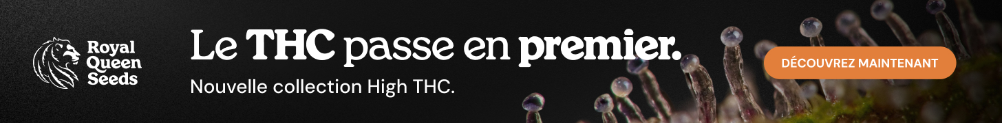  RQS-highthc_fr