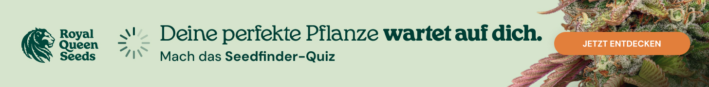  RQS-quiz_de
