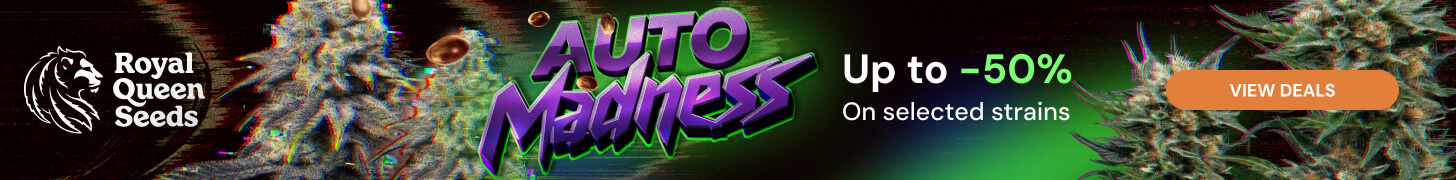 RQS_june26_automadness_en