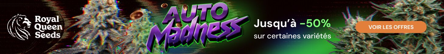 RQS_june26_automadness_fr