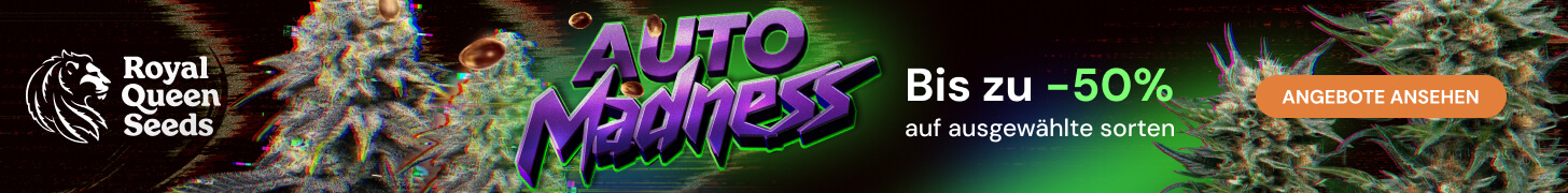 RQS_june26_automadness_de