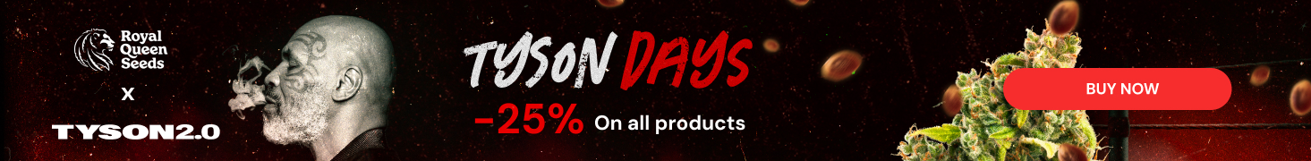 RQS_tyson_2026_en