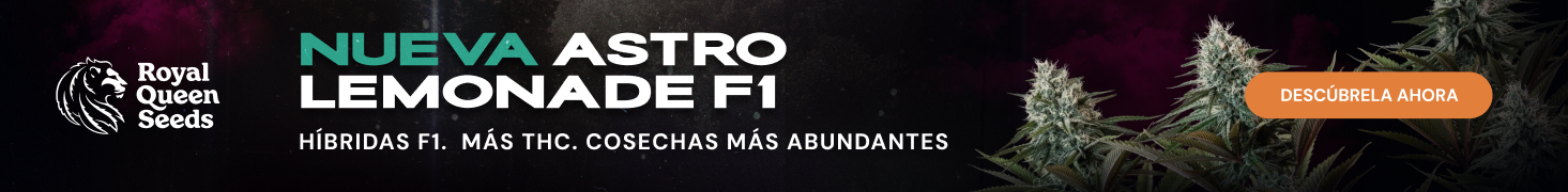 rqs_sept_2026_es