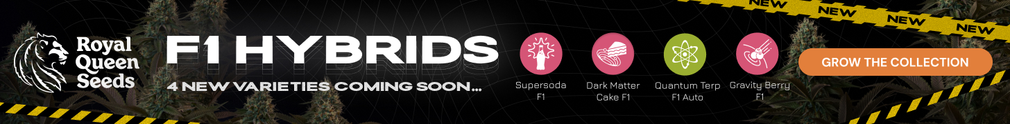 RQS-F1-hybrids-en