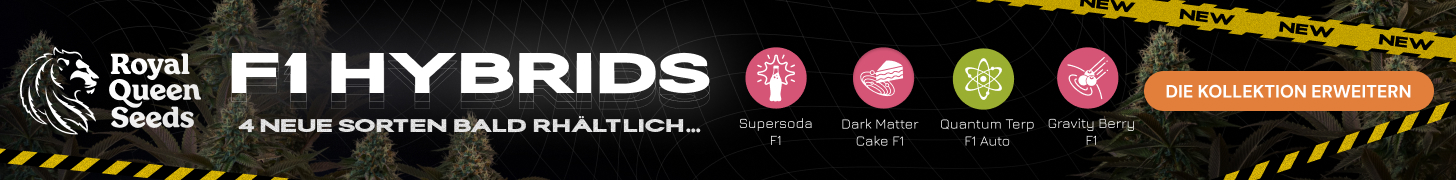  RQS-F1-hybrids-de