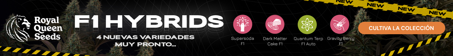  RQS-F1-hybrids-es