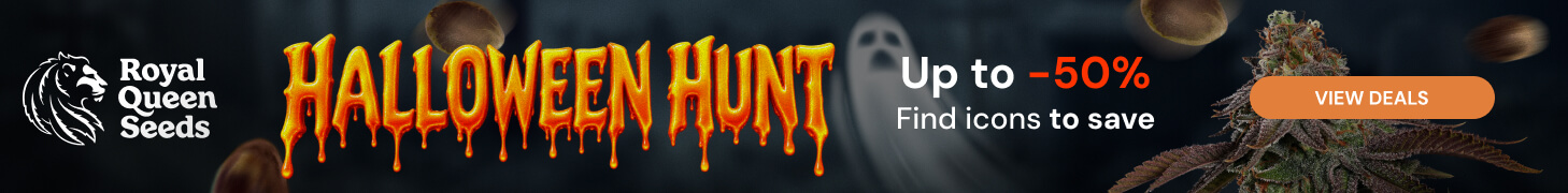 rqs_halloween_26_en