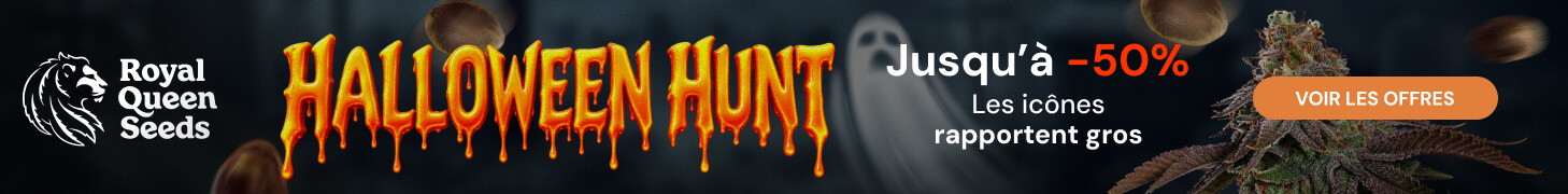 rqs_halloween_26_fr