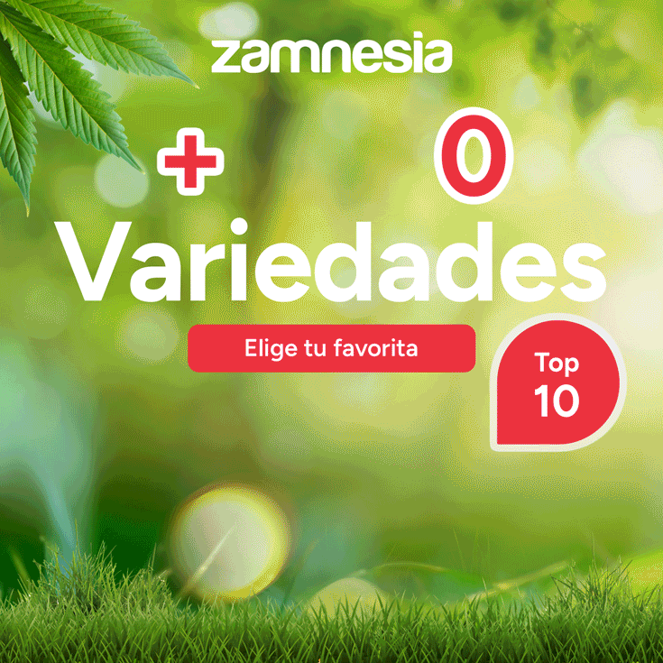 zamnesia_es