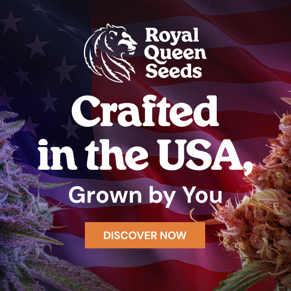 Auto Banana Punch archive 1