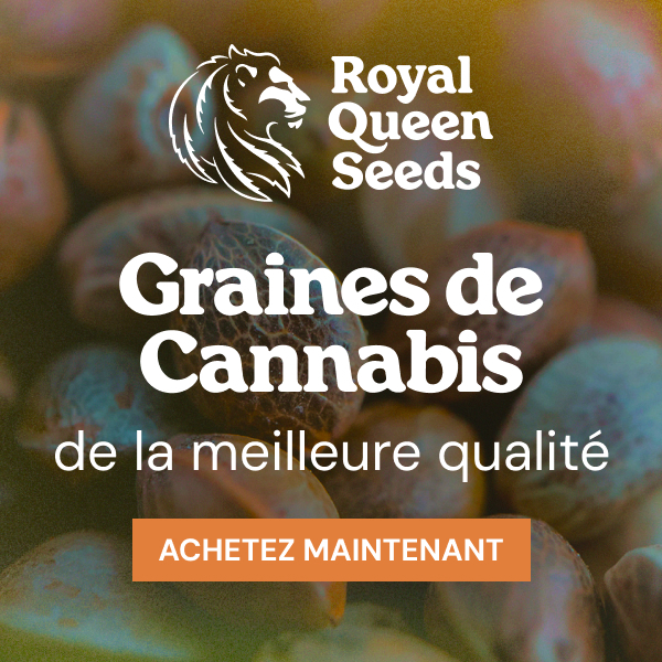 rqs_best_quality_fr