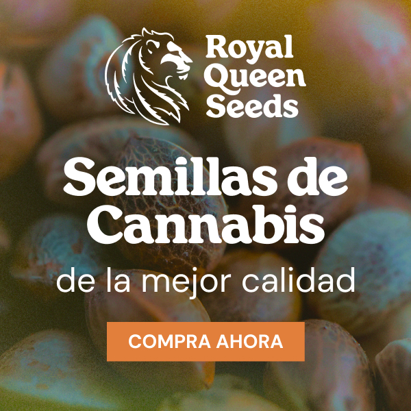rqs_best_quality_es
