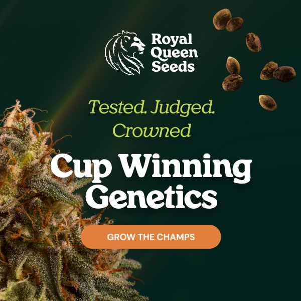 RQS-cupwinners_en
