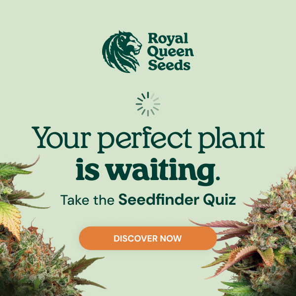  RQS-quiz_en 
