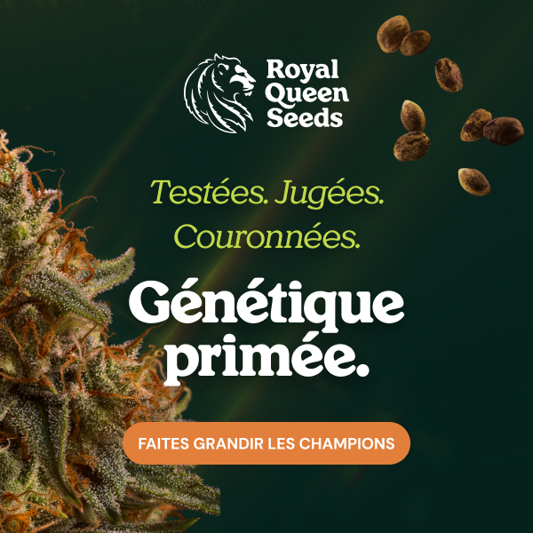  RQS-cupwinners_fr